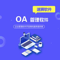 北京定制OA辦公系統推薦 速獅軟件，全程貼心無憂服務
